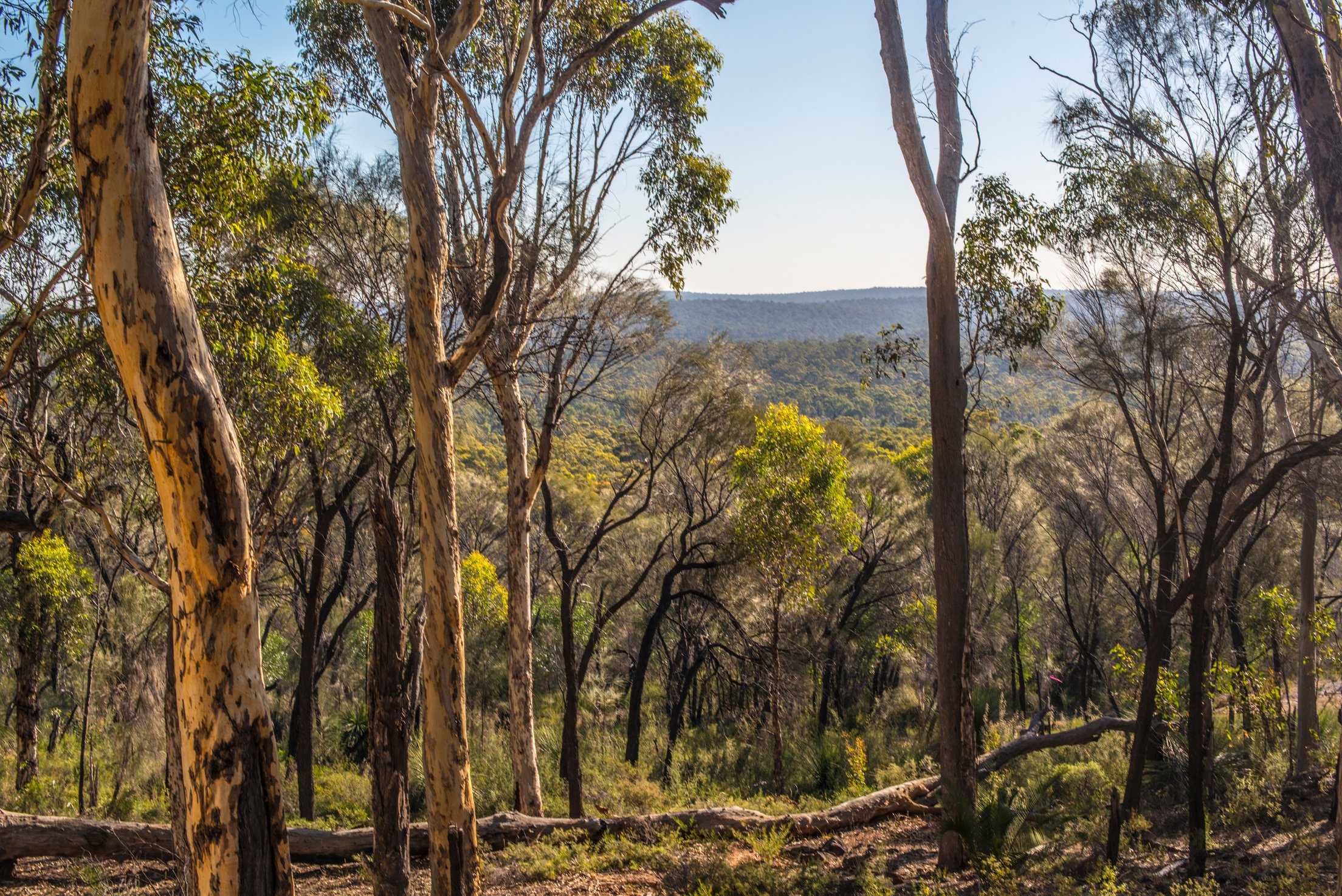 Rural Australia, Perth, Western Australia